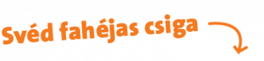 Svéd fahéjas csiga_831